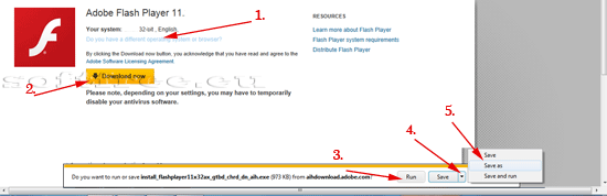 Tutorial Adobe Flash Player descărcarea programului
