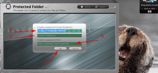 Tutorial IOBit Password Folder prima logare